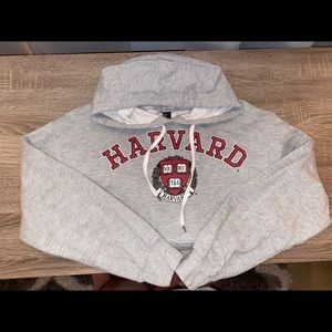Harvard Hoodie
